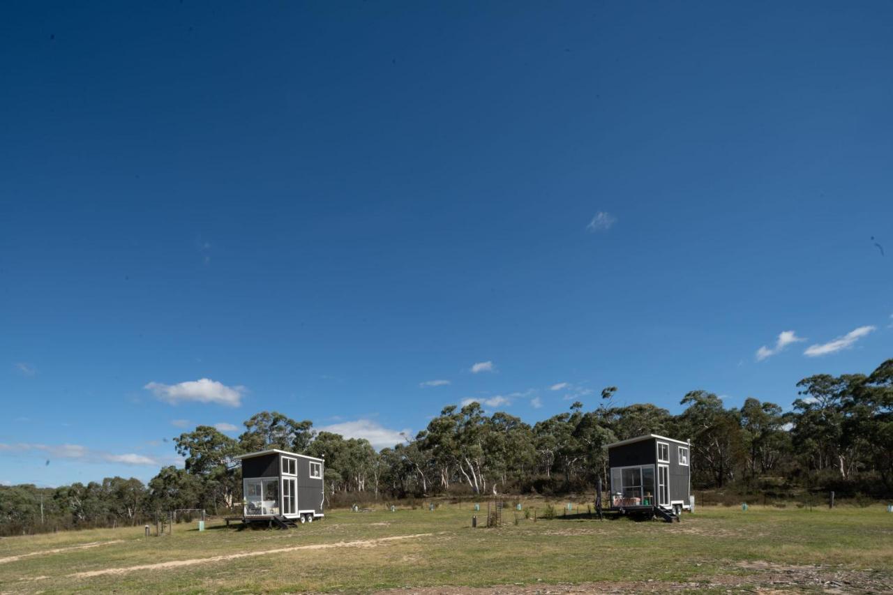 Saddle Camp Tiny House By Tiny Away Βίλα Braidwood Εξωτερικό φωτογραφία